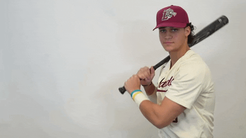 Baseball Roll Pards GIF by Lafayette Leopards