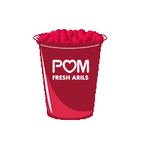 Seeds Pom Sticker