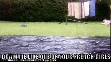 Slide Beards GIF by Cheezburger