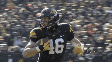 iowa hawkeyes football GIF by University of Iowa Hawkeyes Athletics