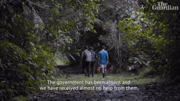 The Government Has Been Absent