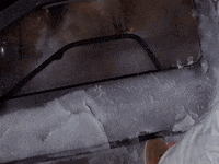 Good Boy Dog GIF by Back to the Future Trilogy