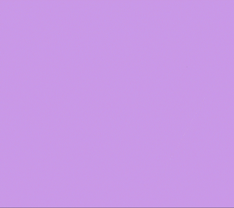 niklovenak giphyupload GIF