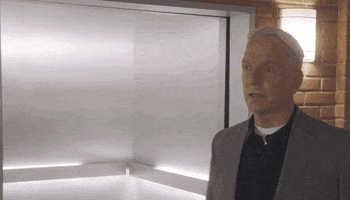 Cbs Tv Gibbs GIF by CBS