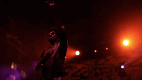 fools gold rock GIF by Fool's Gold Records