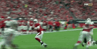 Arizona Cardinals Football GIF by NFL
