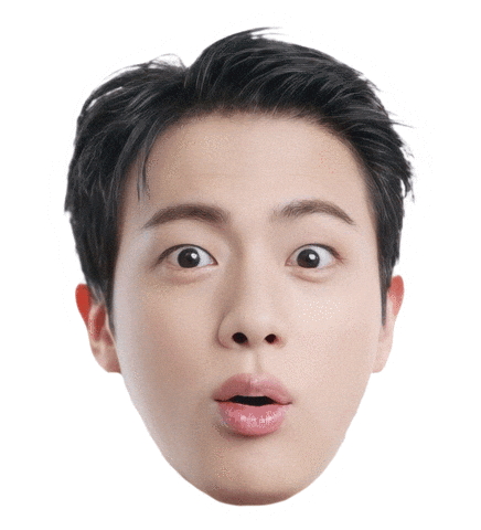 Bts Jin Sticker