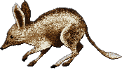 PositPixel pixel art sprite sprites bandicoot Sticker