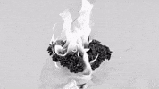 cattura ai aesthetic studio surreal GIF