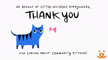 Cat Save Them All GIF by Best Friends Animal Society