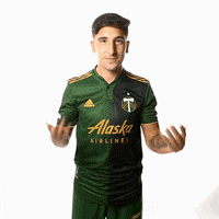Portland Timbers Soccer GIF by Timbers
