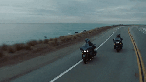 Ride GIF by Harley-Davidson