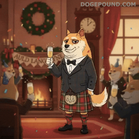Celebrating Happy New Year GIF by Doge Pound