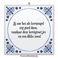 Nl Spreuk GIF by Tegelspreuken.nl