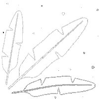 Banana Leaf Beach Sticker