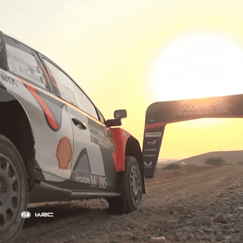 Motorsport Go GIF by FIA World Rally Championship