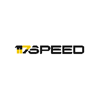 117Speed tuning 117 cartuning 117speed Sticker