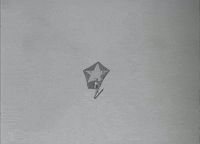 Parasailing Water Sports GIF by US National Archives