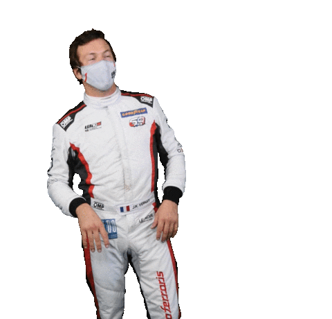 Jean-Karl Vernay Driver Sticker by FIA World Touring Car Cup