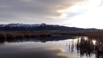 Five Separate Time Lapses Filmed in Exact Same Location