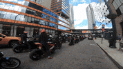 Motorcycle Queens GIF by Gotham Ducati Desmo Owners Club