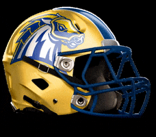 UNHChargers football chargers unh new haven GIF
