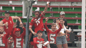Happy College Football GIF by Ohio State Athletics