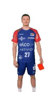Sport Handball Sticker by HBW