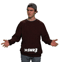 What The Lol Sticker by SWR3