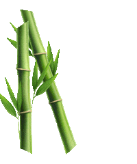 Summer Hair Sticker by PanteneGreece