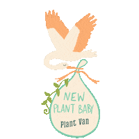 Plant Parent Sticker by PlantVan