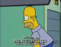 homer simpson GIF