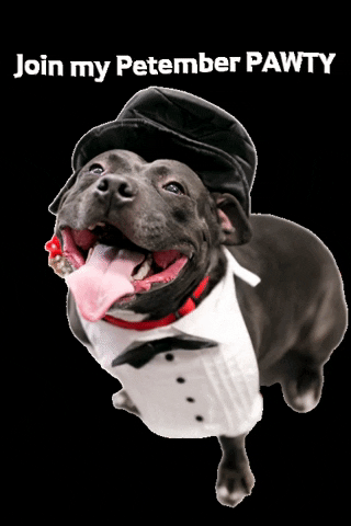 VarietyVic petember GIF