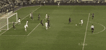 save andre blake GIF by Philadelphia Union