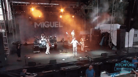 pitchfork music festival GIF by Pitchfork