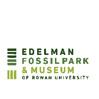 TheFossilPark efm edelman fossil park museum dinosaur museum rowan dinosaurs Sticker