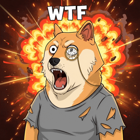 Shiba Inu Omg GIF by Doge Pound