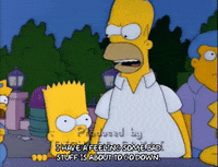 homer simpson GIF