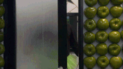 bigbrother big brother josh bb19 bbjosh GIF