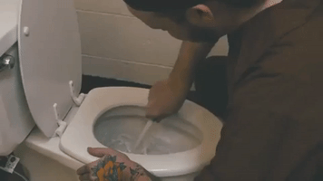 toilet janitor GIF by Bloodshot Records