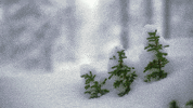 snow freezing GIF by Living Stills