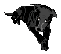 Dog Lying Down Sticker