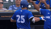 Happy Blue Jays GIF by Toronto Blue Jays