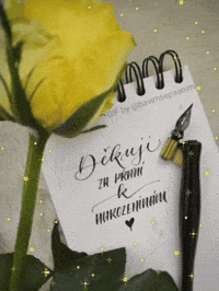bavimsepsanim birthday thank you lettering thankyou GIF