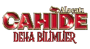 cahidepalazzo cahide alaçatı Sticker