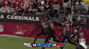 Arizona Cardinals Football GIF by NFL