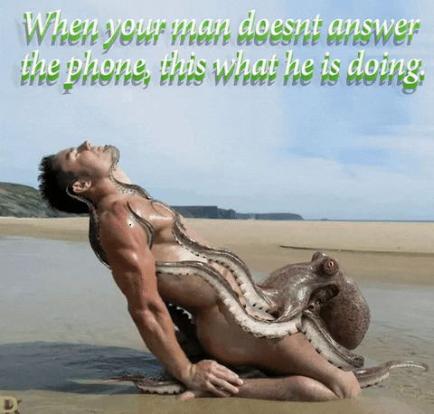 octopus liar GIF by Leroy Patterson