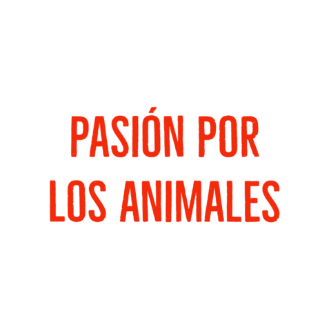 wufkunmascotas giphygifmaker wüfkün pasiónporlosanimales premiumaccesiblesolidario Sticker