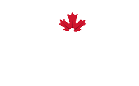 Summer Beer Sticker by LabattUSA