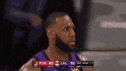 lebron james basketball GIF by NBA
